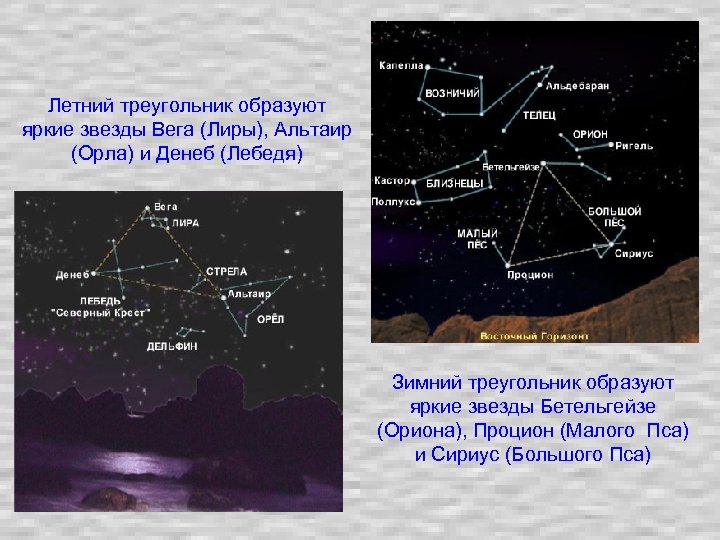 Летний треугольник образуют яркие звезды Вега (Лиры), Альтаир (Орла) и Денеб (Лебедя) Зимний треугольник