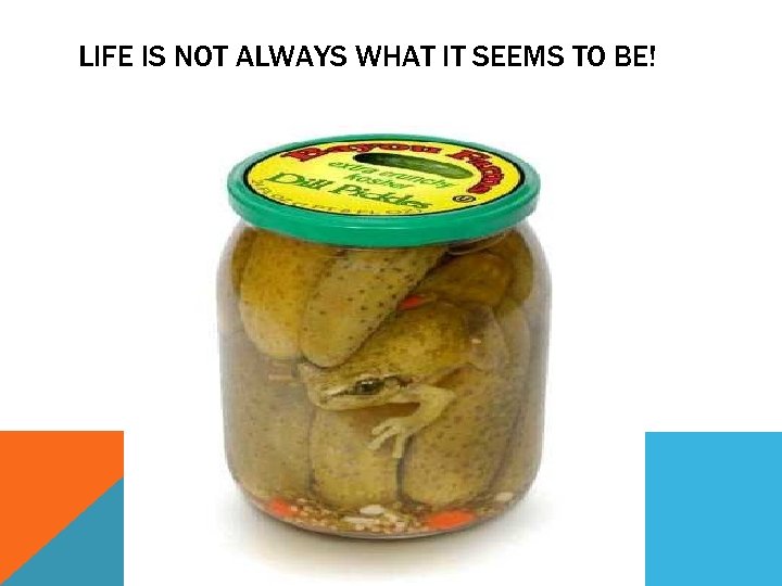 LIFE IS NOT ALWAYS WHAT IT SEEMS TO BE! 