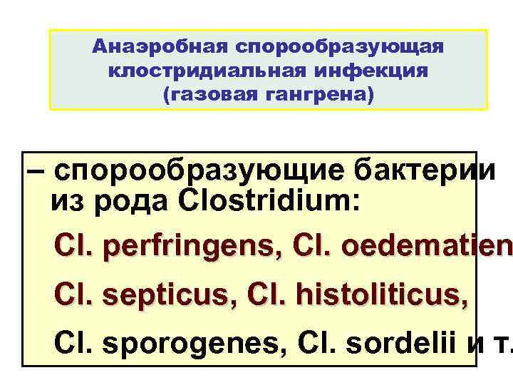 Анаэробная спорообразующая клостридиальная инфекция (газовая гангрена) – спорообразующие бактерии из рода Clostridium: Cl. perfringens,