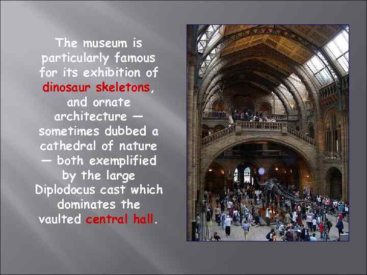 The museum is particularly famous for its exhibition of dinosaur skeletons, and ornate architecture