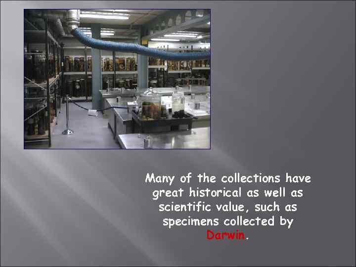 Many of the collections have great historical as well as scientific value, such as