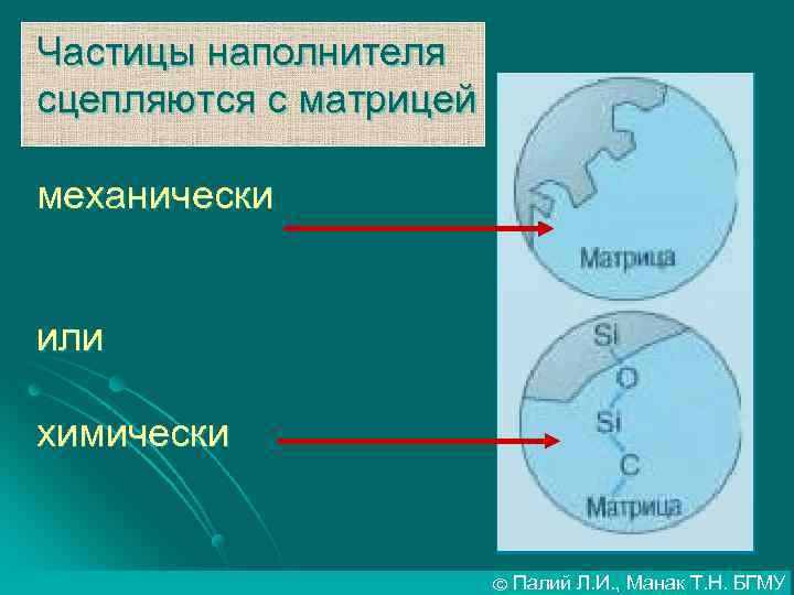 Частицы наполнителя сцепляются с матрицей механически или химически © Палий Л. И. , Манак