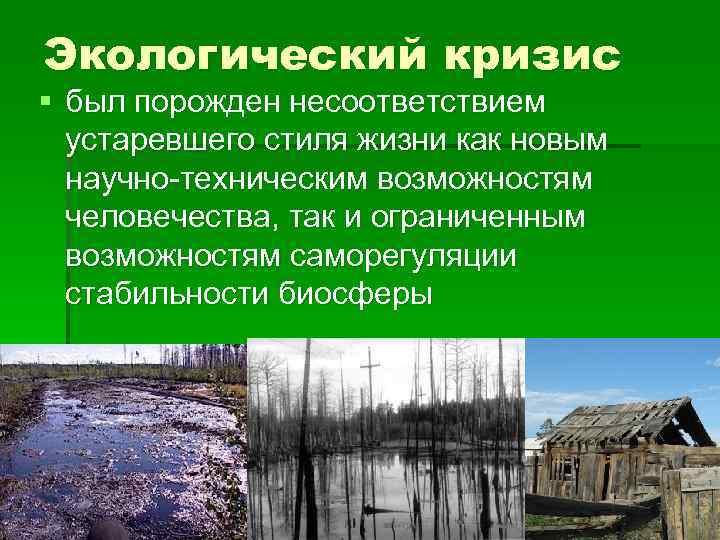 Экологические кризисы и экологические ситуации презентация