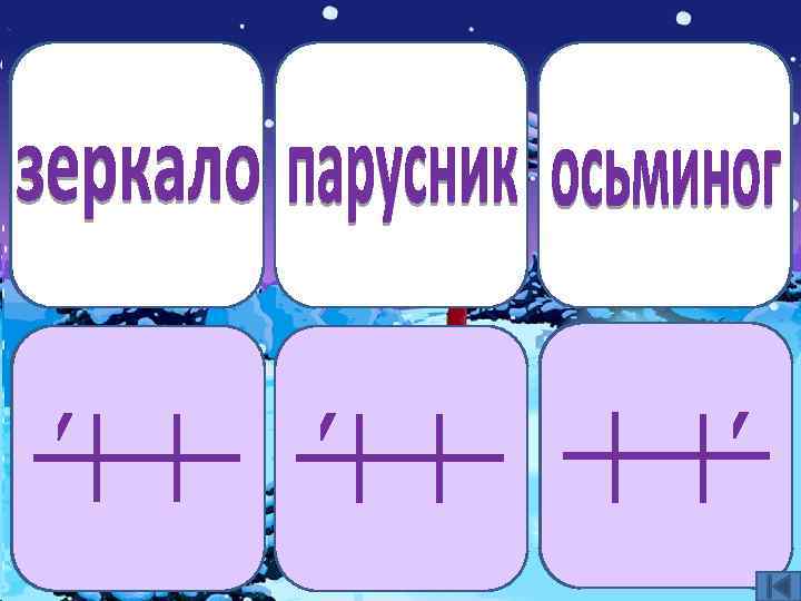 зеркало парусник осьминог 