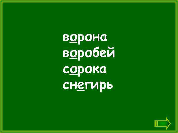ворона воробей сорока снегирь 