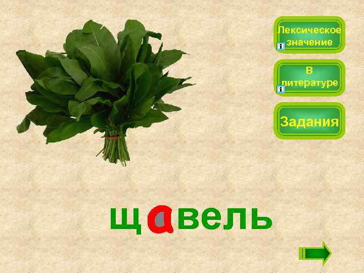 Лексическое значение В литературе Задания щ вель 
