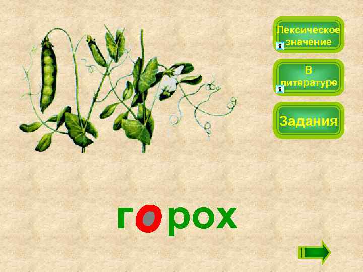 Лексическое значение В литературе Задания г рох 