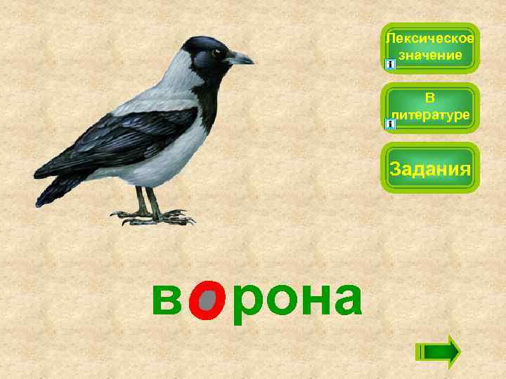 Лексическое значение В литературе Задания в рона 