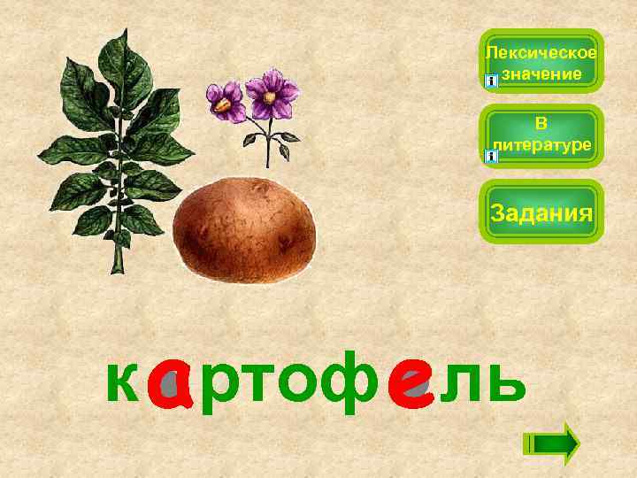 Лексическое значение В литературе Задания к ртоф ль 