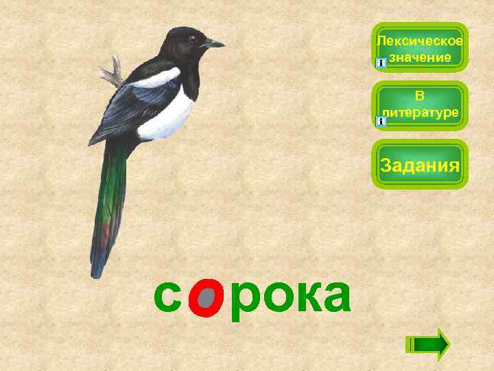 Лексическое значение В литературе Задания с рока 