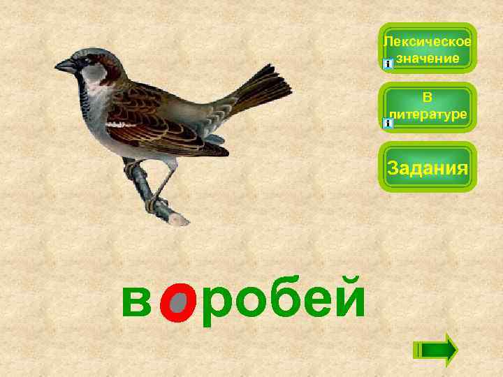 Лексическое значение В литературе Задания в робей 