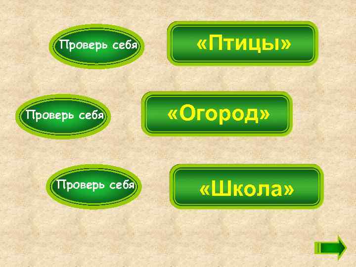 Проверь себя «Птицы» «Огород» «Школа» 