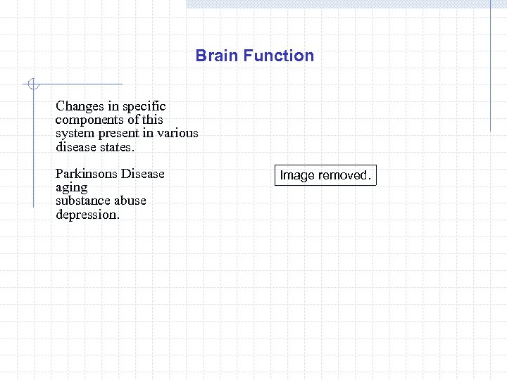 Brain Function Changes in specific components of this system present in various disease states.
