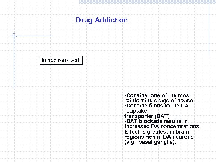 Drug Addiction Image removed. • Cocaine: one of the most reinforcing drugs of abuse
