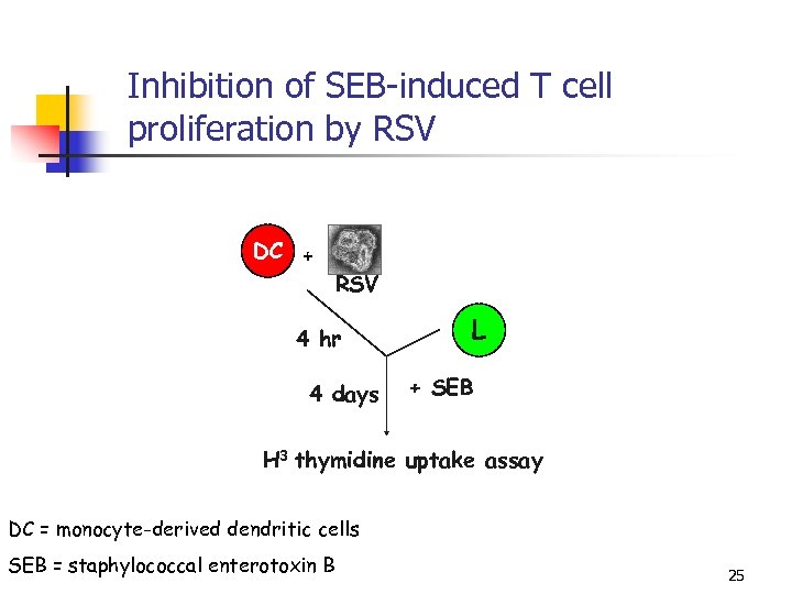 Inhibition of SEB-induced T cell proliferation by RSV DC + RSV 4 hr 4