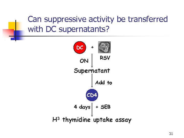 Can suppressive activity be transferred with DC supernatants? + DC RSV ON Supernatant Add
