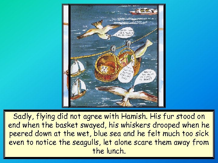 Sadly, flying did not agree with Hamish. His fur stood on end when the