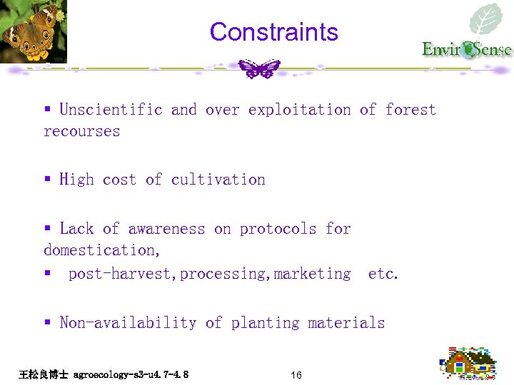 Constraints § Unscientific and over exploitation of forest recourses § High cost of cultivation