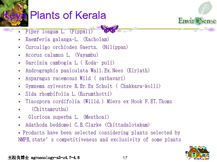 Keya Plants of Kerala Piper longum L. (Pippali) § Kaemferia galanga-L. (Kacholam) § Curculigo