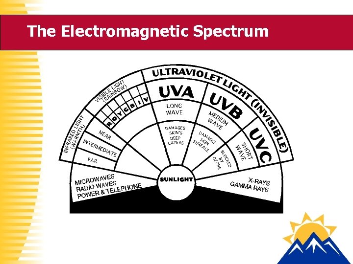 The Electromagnetic Spectrum 