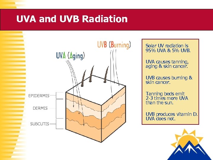 UVA and UVB Radiation Solar UV radiation is 95% UVA & 5% UVB. UVA