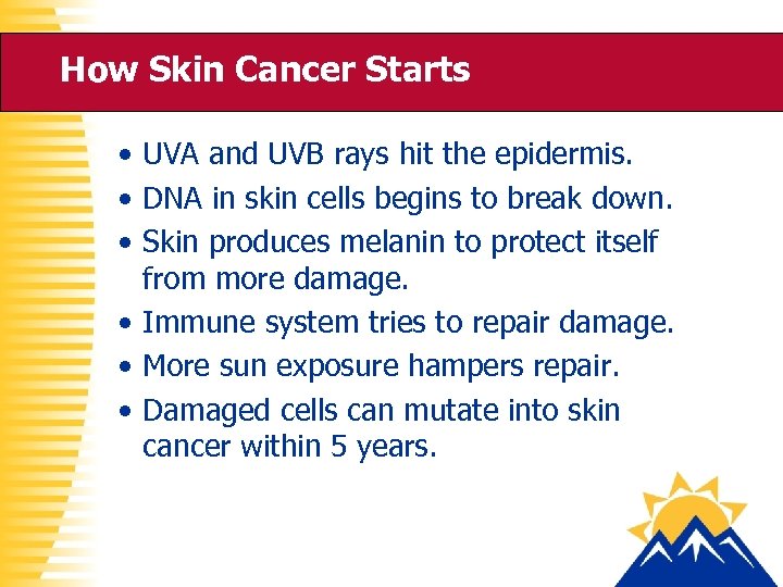 How Skin Cancer Starts • UVA and UVB rays hit the epidermis. • DNA