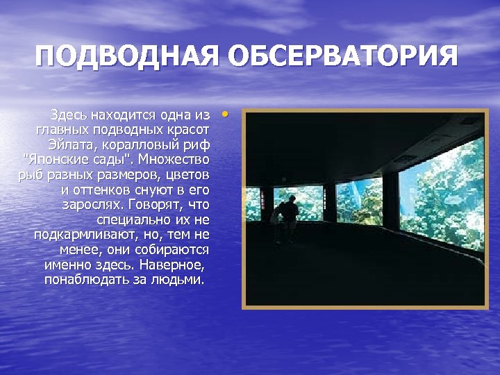 ПОДВОДНАЯ ОБСЕРВАТОРИЯ Здесь находится одна из главных подводных красот Эйлата, коралловый риф "Японские сады".