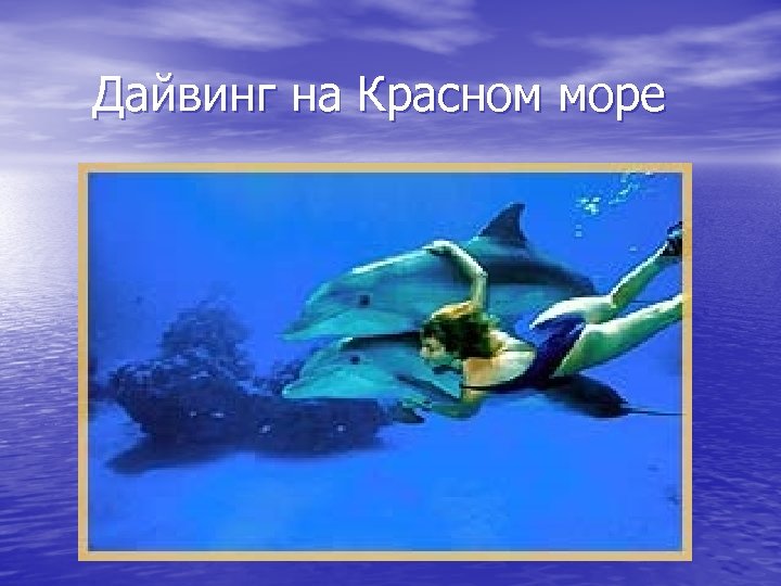  Дайвинг на Красном море 