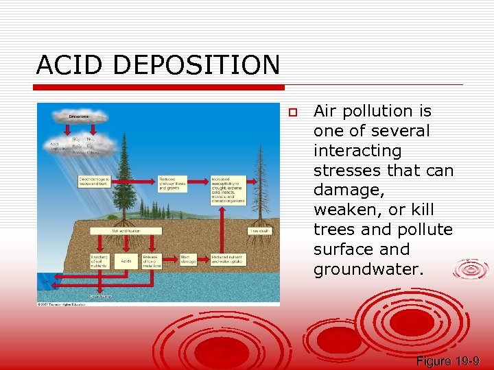 ACID DEPOSITION o Air pollution is one of several interacting stresses that can damage,
