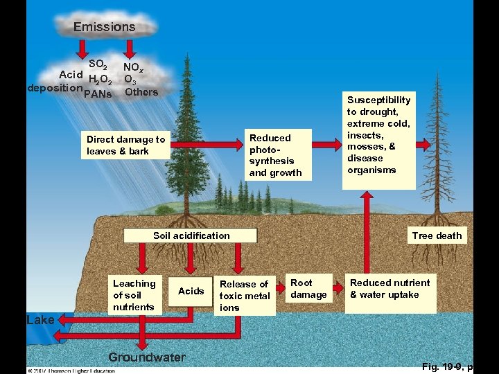 Emissions SO 2 Acid H O 2 2 deposition PANs NOx O 3 Others