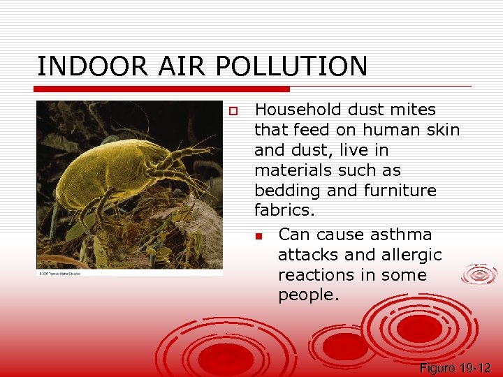 INDOOR AIR POLLUTION o Household dust mites that feed on human skin and dust,