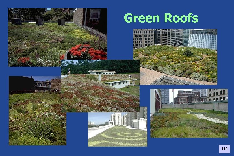 Green Roofs 110 