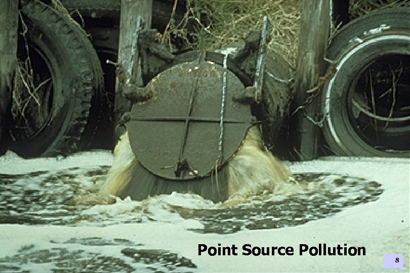 Point Source Pollution 8 