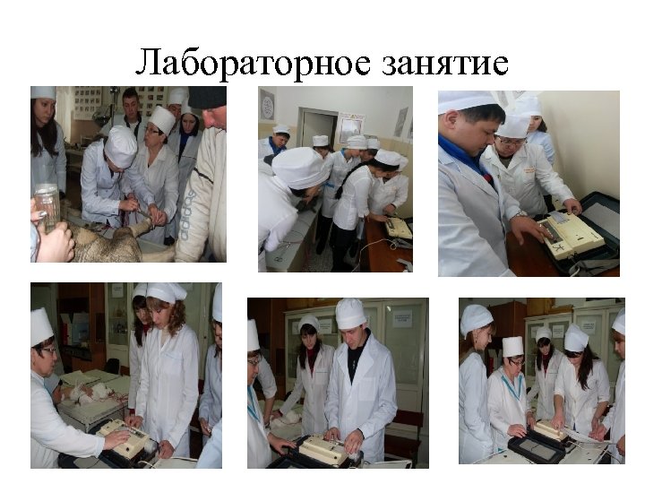 Лабораторное занятие 