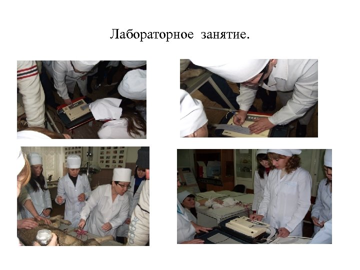 Лабораторное занятие. 