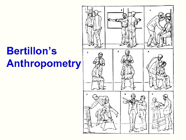 Bertillon’s Anthropometry 