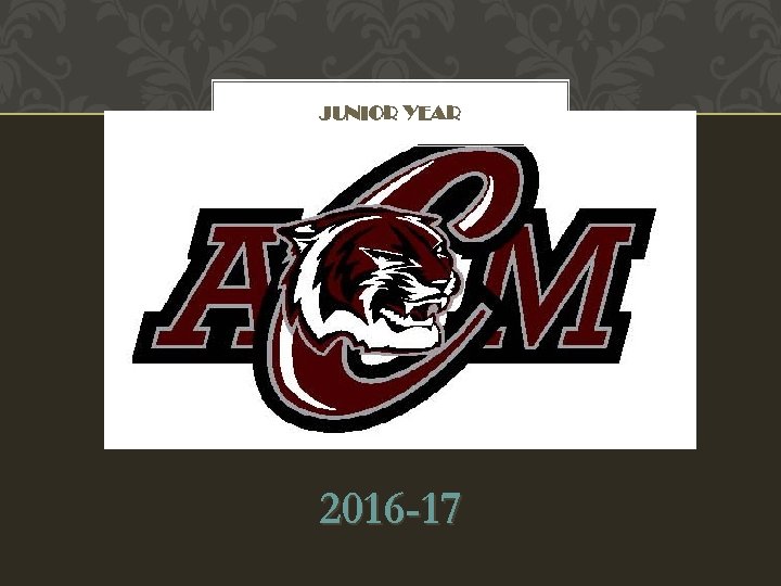 JUNIOR YEAR 2016 -17 