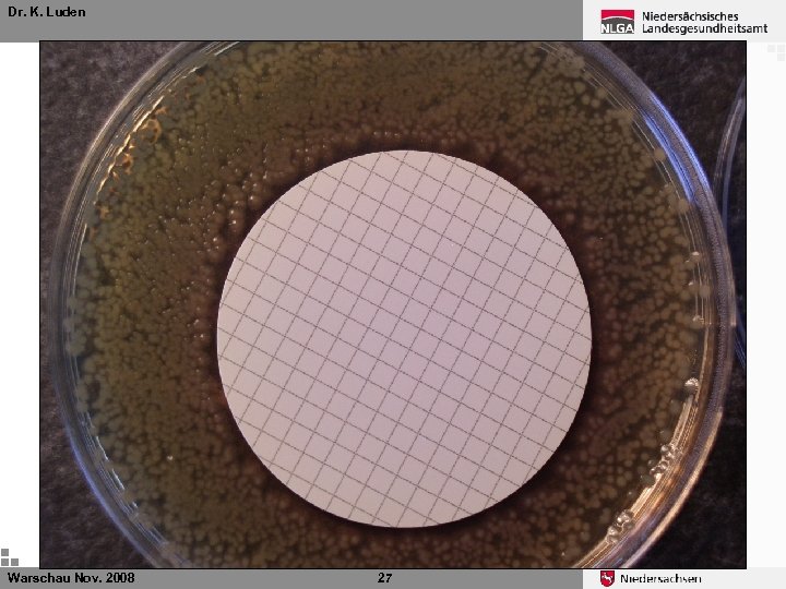 Dr. K. Luden Ø Warschau Nov. 2008 27 