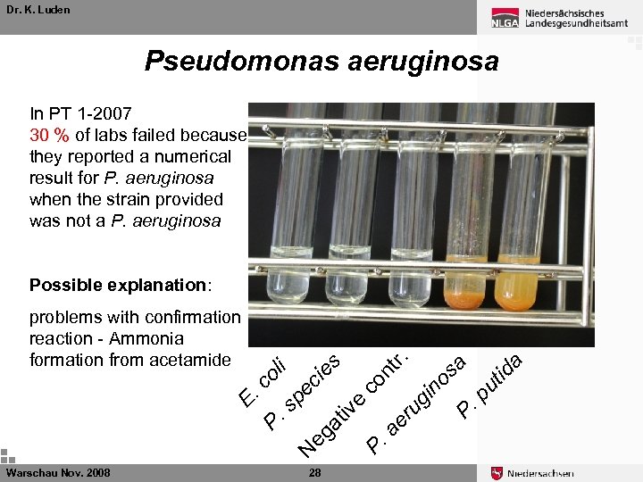 Dr. K. Luden Pseudomonas aeruginosa In PT 1 -2007 30 % of labs failed