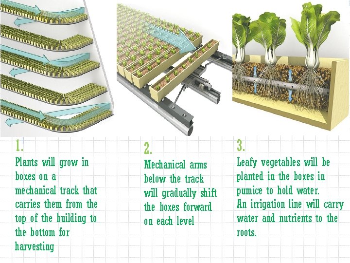 1. Plants will grow in boxes on a mechanical track that carries them from