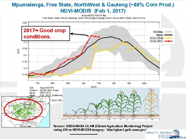 Mpumalanga, Free State, North. West & Gauteng (~88% Corn Prod. ) NDVI-MODIS (Feb 1,