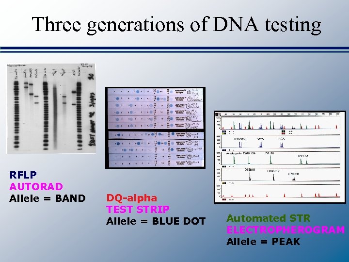 Three generations of DNA testing RFLP AUTORAD Allele = BAND DQ-alpha TEST STRIP Allele