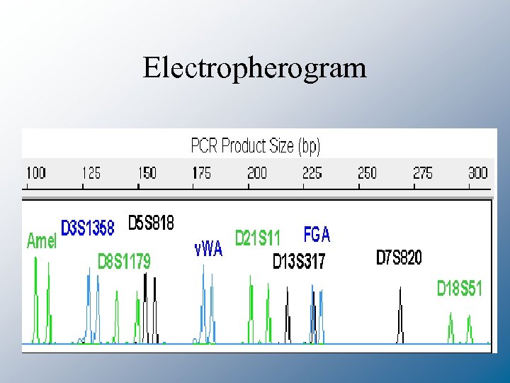 Electropherogram 