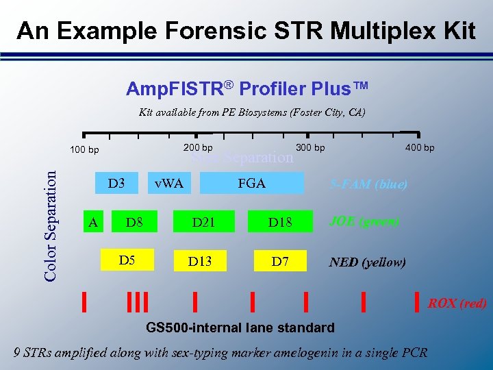 An Example Forensic STR Multiplex Kit Amp. Fl. STR® Profiler Plus™ Kit available from