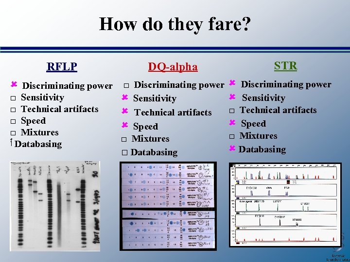 How do they fare? DQ-alpha RFLP Discriminating power Sensitivity □ Technical artifacts Speed □