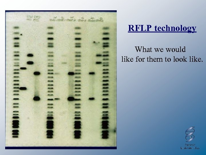 RFLP technology What we would like for them to look like. 