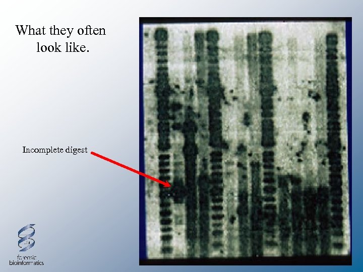 What they often look like. Incomplete digest 