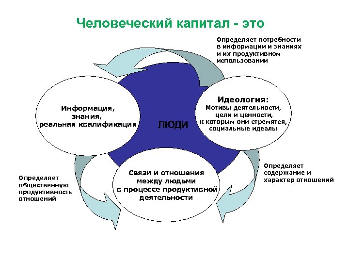 Человеческий капитал - это Определяет потребности в информации и знаниях и их продуктивном использовании