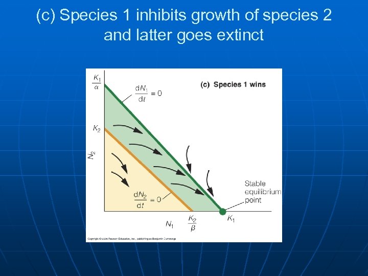 (c) Species 1 inhibits growth of species 2 and latter goes extinct 