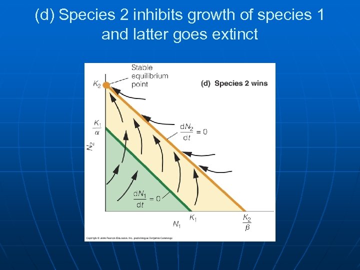 (d) Species 2 inhibits growth of species 1 and latter goes extinct 